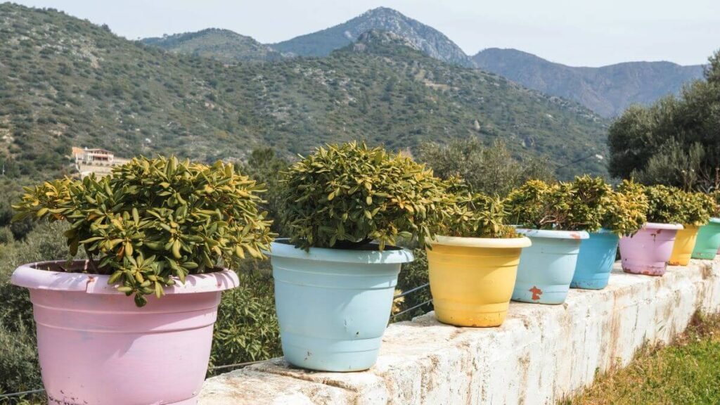 Benefícios da Decoração Jardim Encantado