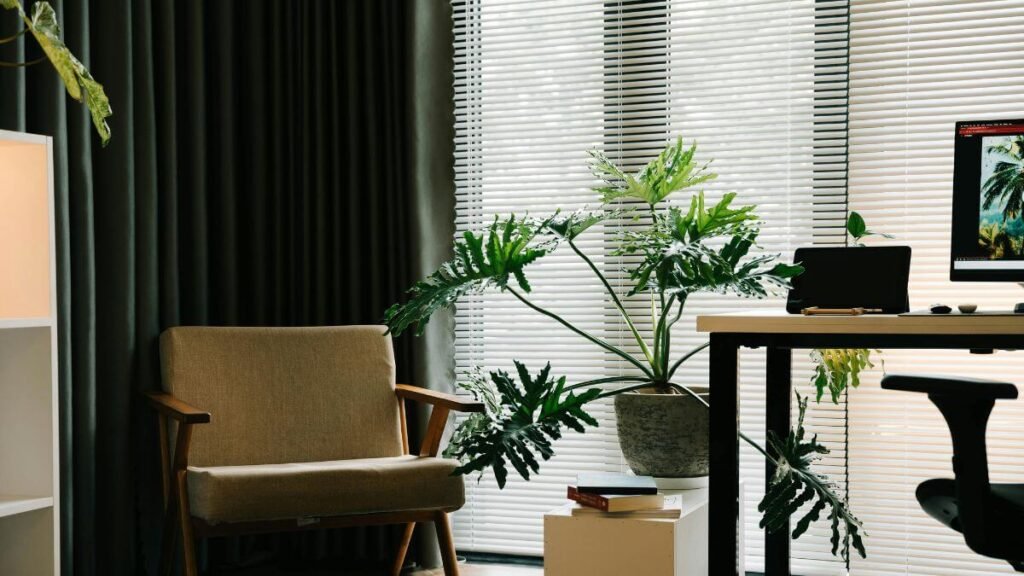 O Que é Decoração com Plantas