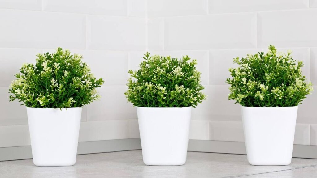 Tendências atuais na Decoração com plantas artificiais