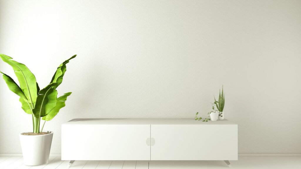 Benefícios da Decoração com Plantas na Sala