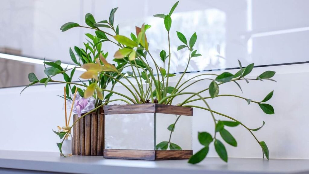 O Que é Decoração com plantas artificiais na sala